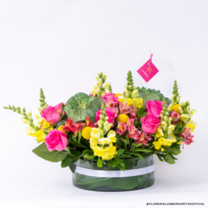 Colección Día de las Madres