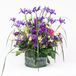 Diseños artísticos